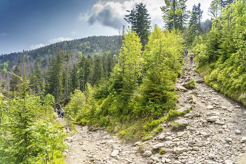 Barania Góra - wejście na szczyt z Wisły Czarne