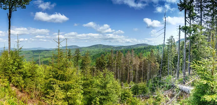 Barania Góra - wejście na szczyt z Wisły Czarne