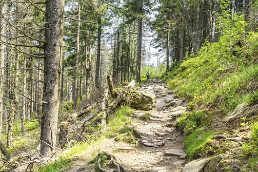 Barania Góra - wejście na szczyt z Wisły Czarne
