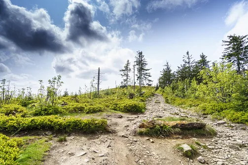 Barania Góra - wejście na szczyt z Wisły Czarne