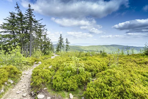 Barania Góra - wejście na szczyt z Wisły Czarne