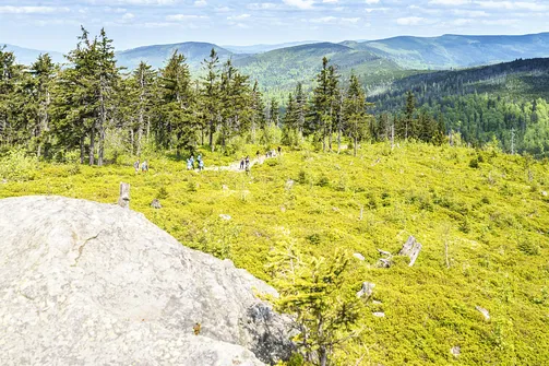 Barania Góra - wejście na szczyt z Wisły Czarne