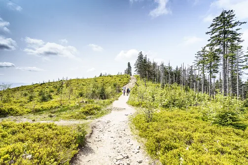 Barania Góra - wejście na szczyt z Wisły Czarne