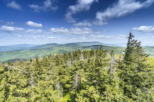 Barania Góra - wejście na szczyt z Wisły Czarne