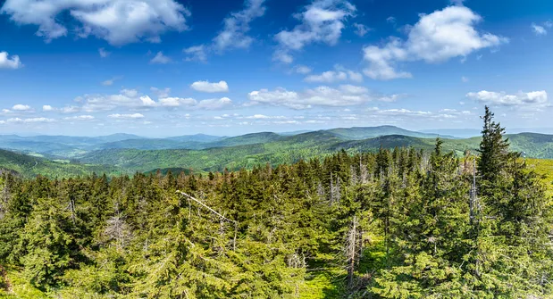 Barania Góra - wejście na szczyt z Wisły Czarne
