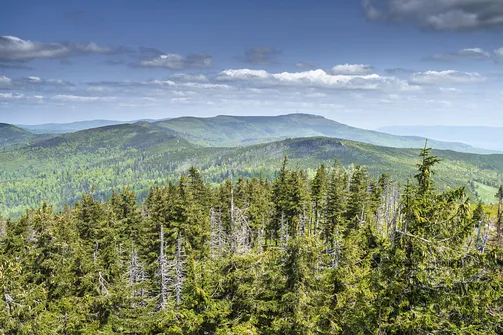 Barania Góra - wejście na szczyt z Wisły Czarne