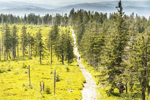 Barania Góra - wejście na szczyt z Wisły Czarne