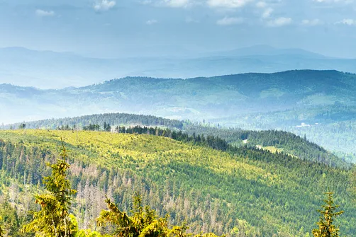 Barania Góra - wejście na szczyt z Wisły Czarne