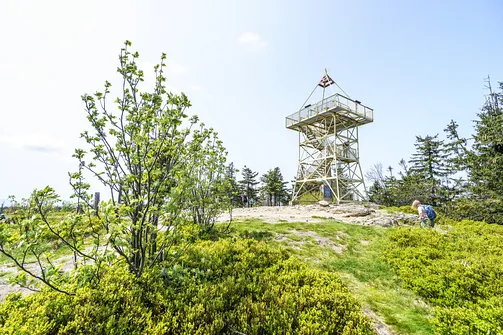 Barania Góra - wejście na szczyt z Wisły Czarne