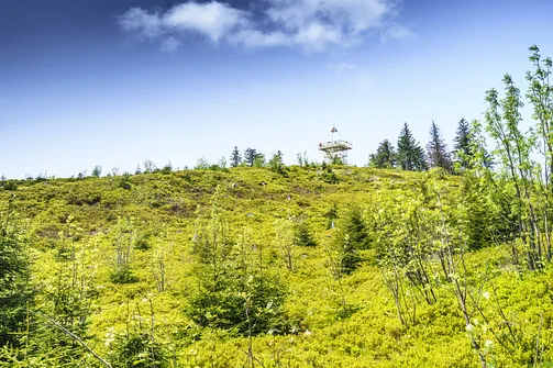 Barania Góra - wejście na szczyt z Wisły Czarne