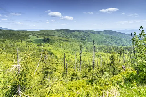 Barania Góra - wejście na szczyt z Wisły Czarne