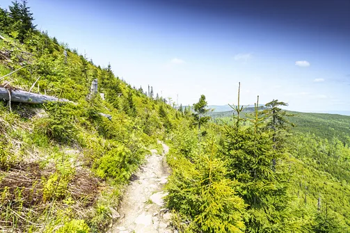 Barania Góra - wejście na szczyt z Wisły Czarne