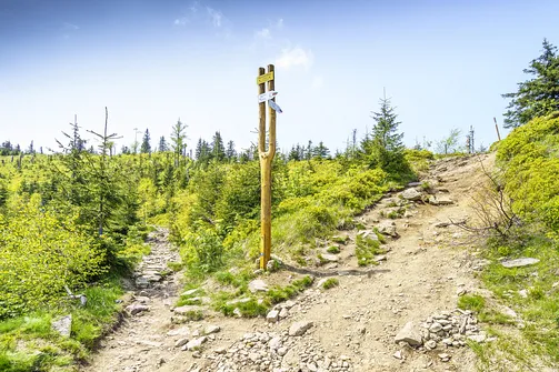 Barania Góra - wejście na szczyt z Wisły Czarne