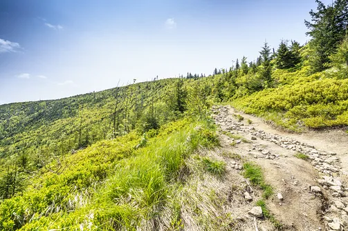Barania Góra - wejście na szczyt z Wisły Czarne