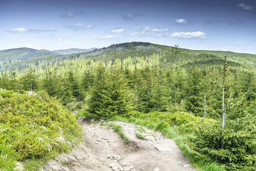 Barania Góra - wejście na szczyt z Wisły Czarne