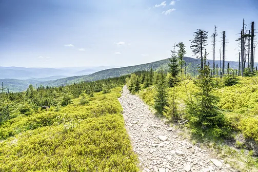 Barania Góra - wejście na szczyt z Wisły Czarne