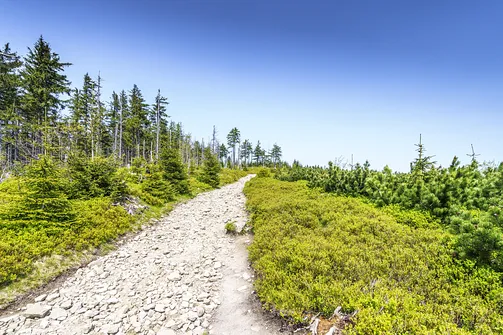 Barania Góra - wejście na szczyt z Wisły Czarne