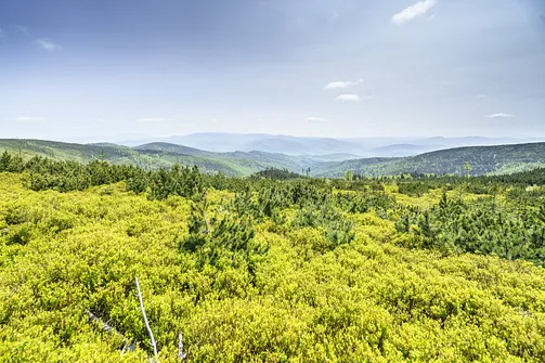 Barania Góra - wejście na szczyt z Wisły Czarne