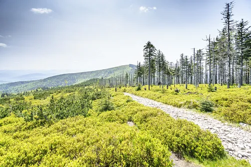 Barania Góra - wejście na szczyt z Wisły Czarne
