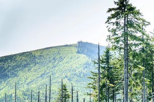 Barania Góra - wejście na szczyt z Wisły Czarne