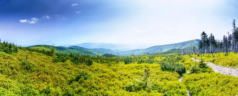 Barania Góra - wejście na szczyt z Wisły Czarne