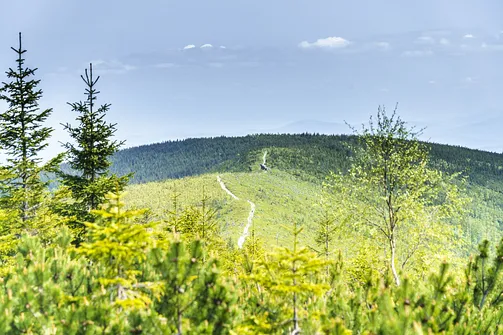 Barania Góra - wejście na szczyt z Wisły Czarne