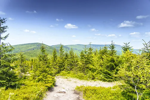 Barania Góra - wejście na szczyt z Wisły Czarne