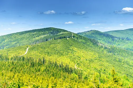 Barania Góra - wejście na szczyt z Wisły Czarne