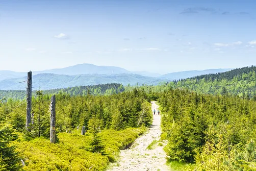 Barania Góra - wejście na szczyt z Wisły Czarne