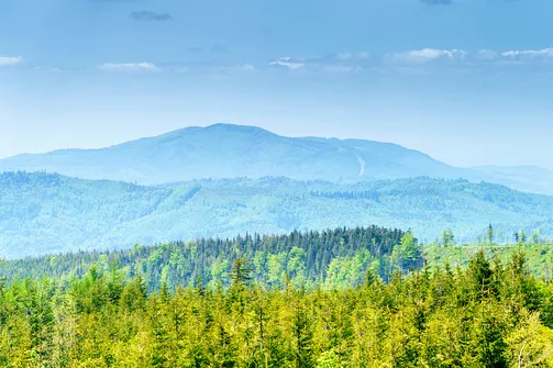 Barania Góra - wejście na szczyt z Wisły Czarne