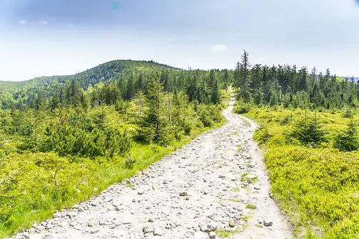 Barania Góra - wejście na szczyt z Wisły Czarne