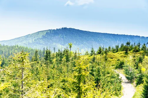 Barania Góra - wejście na szczyt z Wisły Czarne
