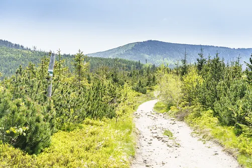 Barania Góra - wejście na szczyt z Wisły Czarne