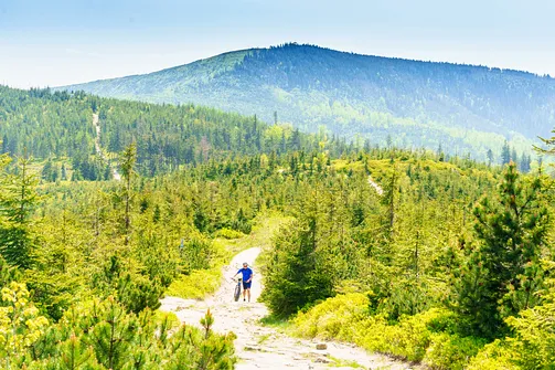 Barania Góra - wejście na szczyt z Wisły Czarne