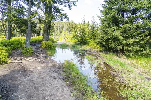 Barania Góra - wejście na szczyt z Wisły Czarne