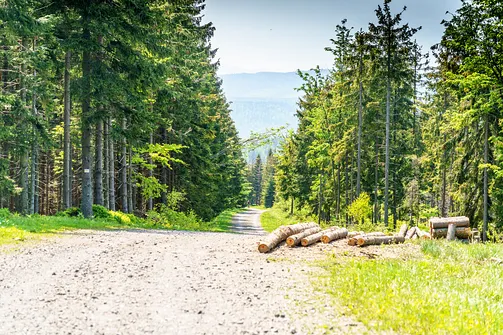 Barania Góra - wejście na szczyt z Wisły Czarne