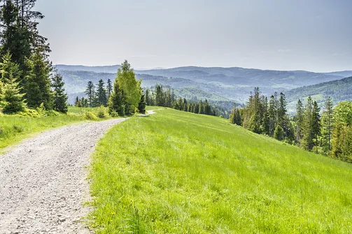 Barania Góra - wejście na szczyt z Wisły Czarne