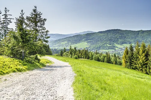Barania Góra - wejście na szczyt z Wisły Czarne