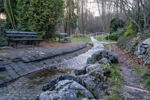 Sanktuarium Matki Bożej Leśniowskiej w Żarkach