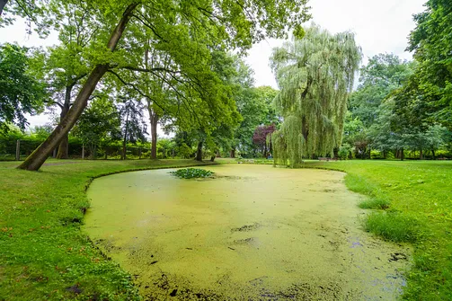 Pałac w Pławniowicach