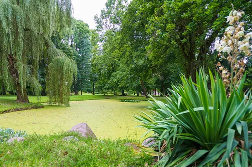 Pałac w Pławniowicach