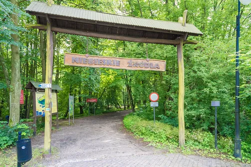 Rezerwat Niebieskie Źródła w Tomaszowie Mazowieckim