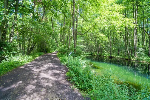 Rezerwat Niebieskie Źródła w Tomaszowie Mazowieckim