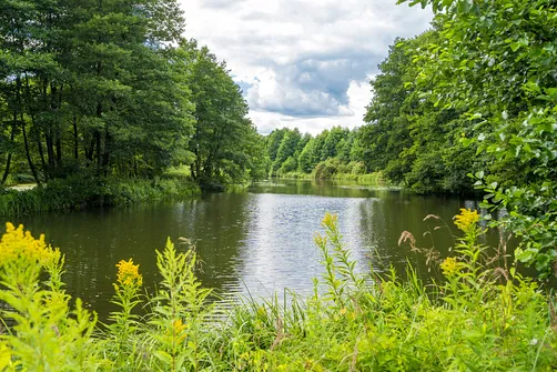 Rezerwat Niebieskie Źródła w Tomaszowie Mazowieckim