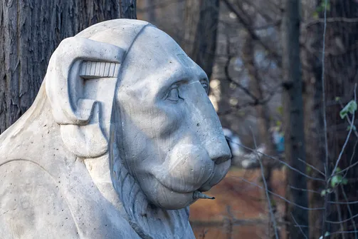 Łazienki Królewskie w Warszawie