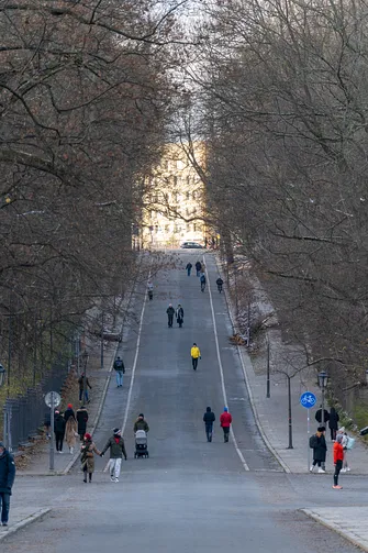 Łazienki Królewskie w Warszawie