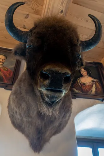 Zamek Bobolice - odbudowana warownia na Szlaku Orlich Gniazd