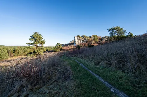 Zamek w Mirowie - XIV-wieczna warownia Jury Krakowsko-Częstochowskiej