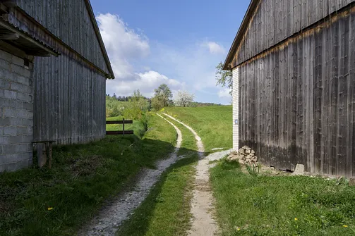 Włochy - najwyższy szczyt Pasma Cisowskiego w Górach Świętokrzyskich