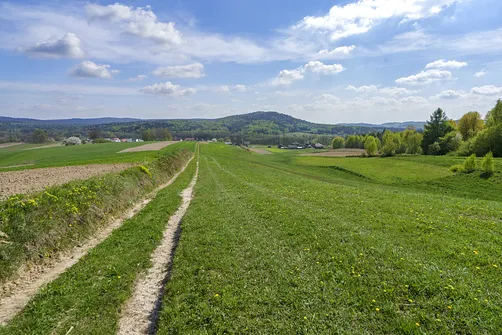Włochy - najwyższy szczyt Pasma Cisowskiego w Górach Świętokrzyskich
